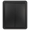 11-1205-05  Выключатель ЭРА Эксперт 11-1205-05 двойной с подсветкой IP20 10АХ-250В ОУ антр