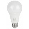 LED A65-30W-830-E27 GL Лампа светодиодная ЭРА GREEN LINE LED A65-30W-830-E27 GL 30Вт груша теплый свет E27