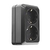 Розетка двойная 2П+3 открытой установки IP20 16А 250В (керамика) черная Альфа General