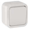 TORS Выключатель двухполюсный одноклавишный 10А IP55 TS311 белый IEK