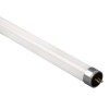 Линейные светодиодные лампы / PLED T5 - 600GL 8w FROST 4000K G5 230V/50Hz (стекло) Jazzwa (5016033)