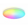 FZ2001 WH белый IP54 20W 3000K-6500K+RGB Wi-Fi Алиса/Tuya/Smart Home/Alexa D300*55 (ПДУ ИК)