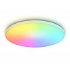 FZ2002 WH белый IP54 25W 3000K-6500K+RGB Wi-Fi Алиса/Tuya/Smart Home/Alexa D370*55 (ПДУ ИК)