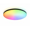 FZ2004 BK черный IP54 20W 3000K-6500K+RGB Wi-Fi Алиса/Tuya/Smart Home/Alexa D300*55 (ПДУ ИК)