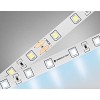 GS3003 2835 60Led/ 6W m/ 24V IP20 6500K/ 5000*8*1.2mm (2 конт.)