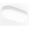 ST8662 WH белый IP65 LED 4200K 20W 220*100*60