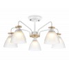TR9567/5 WH/FR белый/белый матовый E27/5 max 40W D620*250