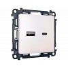 MA211010 Комплект механизма розетки ALFA Жемчуг 2USB A+C 20W (быстрая зарядка) QUANT (AP2110, VM177)