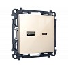 MA311010 Комплект механизма розетки ALFA Бежевый глянец 2USB A+C 20W (быстрая зарядка) QUANT (AP3110, VM177)