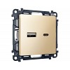 MA611010 Комплект механизма розетки ALFA Шампань 2USB A+C 20W (быстрая зарядка) QUANT (AP6110, VM177)