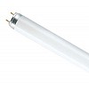 OSRAM-СМ L15W/ 865 PLUS ECO G13 D26mm 438mm 6500K - лампа