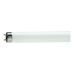 928048503351  Лампа люминесцентная Philips TL-D T8 36Вт 33-640 G13 нейтральный белый свет