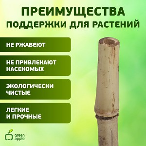 GBS-8-180  GBS-8-180 GREEN APPLE Поддержка бамбуковая 180см o 8мм набор 5шт