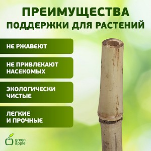 GBS-10-75  GBS-10-75 GREEN APPLE Поддержка бамбуковая 75см o 10мм набор 5шт