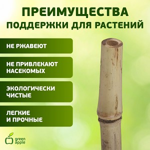 GBS-10-90 GBS-10-90 GREEN APPLE Поддержка бамбуковая 90см o 10мм набор 5шт
