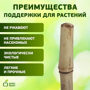 GBS-10-180  GBS-10-180 GREEN APPLE Поддержка бамбуковая 180см o 10мм набор 5шт