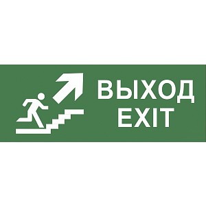 INFO-DBA-014  Самоклеящаяся этикетка ЭРА INFO-DBA-014 200х60мм  Выход/лестница вверх/фигура  DPA/DBA