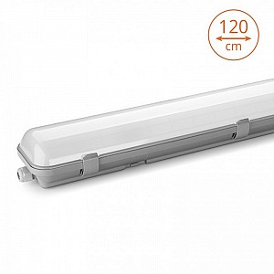 Светильник WOLTA STD ДСП14-54-001-6К Матовый