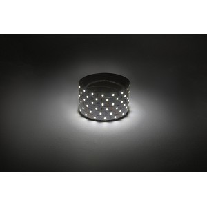 LS2835-4,8-60-12-4000K-IP20-1 year-5m Светодиодная лента ЭРА LS2835-4,8-60-12-4000K-IP20-1 year-5m дневной белый 1 год