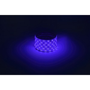 LS2835-4,8-60-12-B-IP65-1 year-5m Светодиодная лента ЭРА LS2835-4,8-60-12-B-IP65-1 year-5m синий 1 год