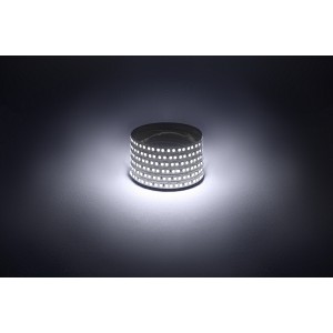 LS2835-14,4-180-12-6500K-IP20-1 year-5m Светодиодная лента ЭРА LS2835-14,4-180-12-6500K-IP20-1 year-5m холодный белый 1 год