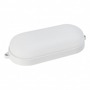 Cветодиодный светильник BT овал 22Вт с ДД/6500K/IP65 (SBL-BT22-65ms)/100
