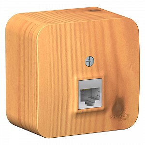 Розетка BLANCA наружная компьютерная RJ45, кат.5e, с изолирующей пластиной, ясень Systeme (Schneider) (BLNIA045005)
