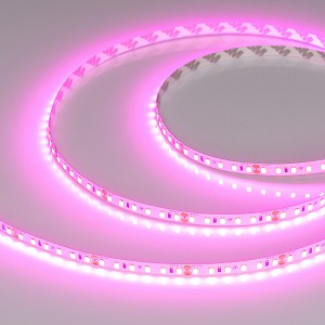 Лента светодиодная 9.6 Вт/м 24В Пурпурно-розовый IP20 120LED/м RT-A120-8-11mm SMD 2835 5 м Arlight (043381)
