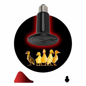 FITO-200W-НQ Инфракрасная лампа ЭРА CeramiHeat FITO-200W-НQ керамическая для брудера, рептилий 200 Вт Е27