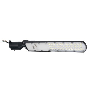 PSL 09 100W 5000K GR IP65 Jazzway