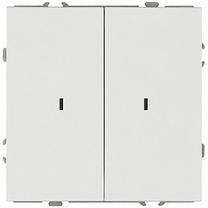 15-1105-08 Выключатель ЭРА Galaxy 15-1105-08 двойной с подсветкой 10АХ-250В IP20 белый матовый