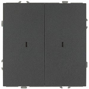 15-1105-06 Выключатель ЭРА Galaxy 15-1105-06 двойной с подсветкой 10АХ-250В IP20 графит