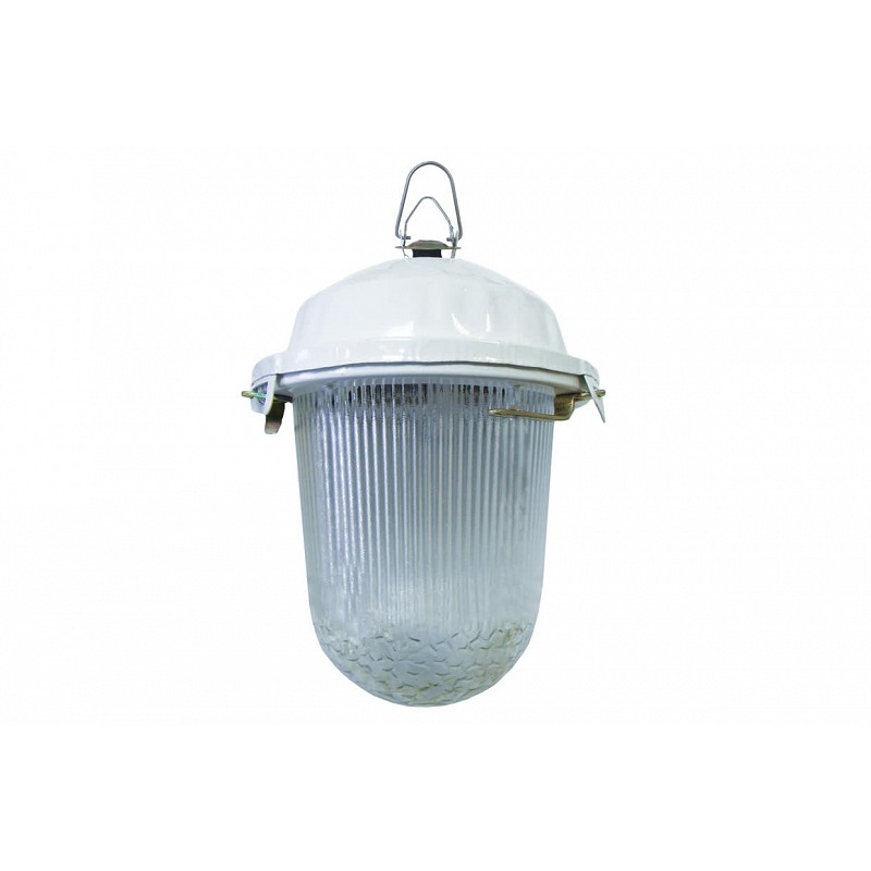 Светильник НСП 02-100-001.01 У2 (без решетки, стекло, крюк) TDM ...