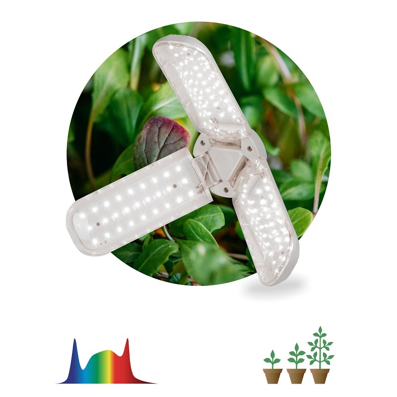 Лампа Для Рассады Купить В Томске