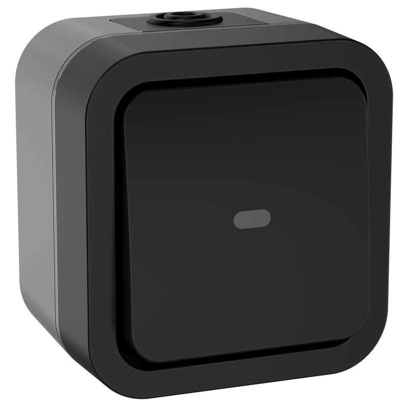 TORS Переключатель одноклавишный с индикацией 10А IP55 TS102 графит